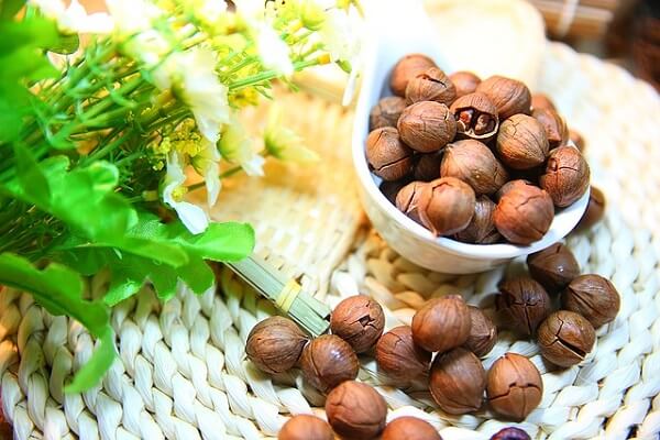 Pecan nut farming