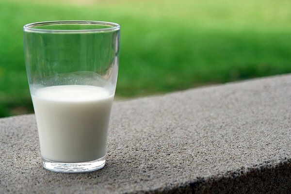 Dairy Farming - Milk