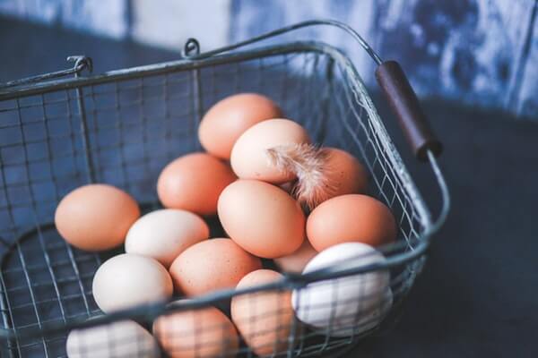 Egg Incubation - Egg Basket