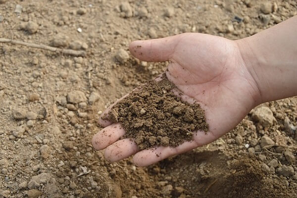 Agronomy - Soil Quality - AgriMag