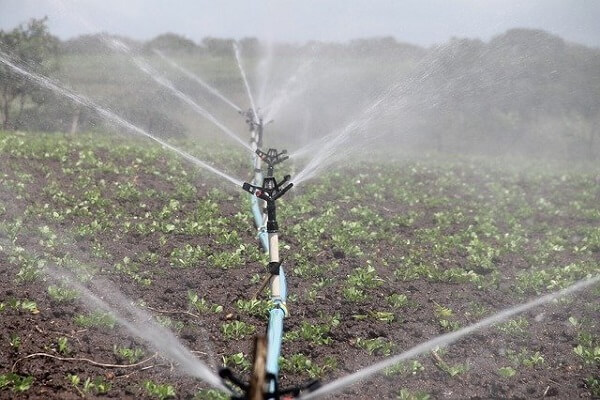 Water saving tips - Featured - AgriMag